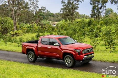 Red 2024 Toyota Tacoma limited